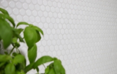 Mosaïque bouton LOOP mosaïque ronde blanc brillant mur cuisine douche SALLE DE BAINS MOS10-0102