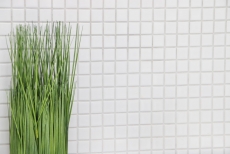 Mosaïque céramique Carreaux de mosaïque blanc brillant cuisine mur douche piscine MOS18-0102