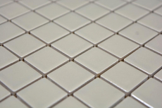 Carreau de mosaïque CHEVRE GRIS SOYEUX BRILLANT Miroir de carrelage Céramique SALLE DE BAINS MOS18D-2401_f
