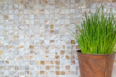 Mosaïque de nacre Mosaïque de coquillages blanc beige clair Paroi de douche MOS150-SM203