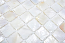 Mosaïque de nacre Mosaïque de coquillages blanc beige Paroi de douche MOS150-SM2525