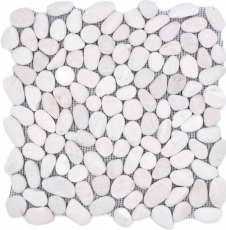 Galet de rivière Galet de pierre bombé blanc cream ivoire Receveur de douche Paroi carrelée Cuisine - MOS30-0102
