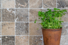 Carreau Travertin Pierre naturelle Silver argent blanc gris clair Carreau pierre naturelle argent aspect antique Carreau de douche Carreau mural cuisine - MOSF-45-47010