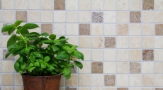 Travertin Carreaux de mosaïque terrasse mur sol pierre naturelle Medio beige crème marron Carrelage mural dosseret cuisine salle de bain - MOS43-1216