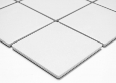 Mosaïque Carreau de mur Sol Céramique Blanc Antidérapant Antidérapant Bac de douche Carreau de sol - MOS22-0102-R10