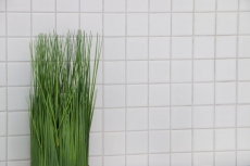 Motif main mosaïque carreau céramique blanc brillant carrelage mur salle de bain MOS16B-0101_m