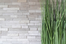 Échantillon manuel Carreau mosaïque autocollant Marbre pierre naturelle gris blanc cream pierre naturelle white wood MOS200-0120_m