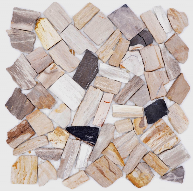 Mosaïque de pierre naturelle fossile Polygonal Bruch Mosiakmatte Wood aspect bois Receveur de douche cuisine mur MOS44-Fossil_f