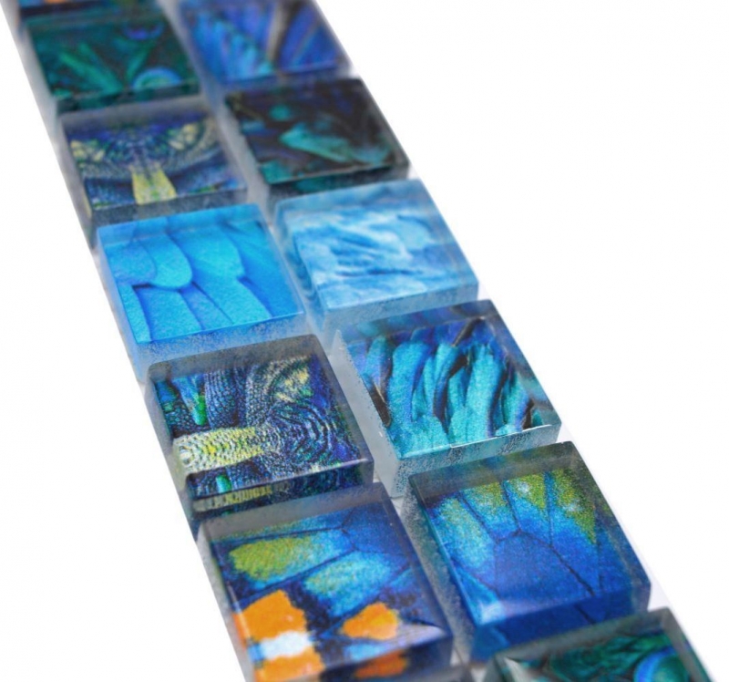 Bordure Borde Mosaïque bleu brillant aspect vie sauvage Mosaïque mur cuisine Miroir salle de bain Mur douche MOS68BOR-WL74_f