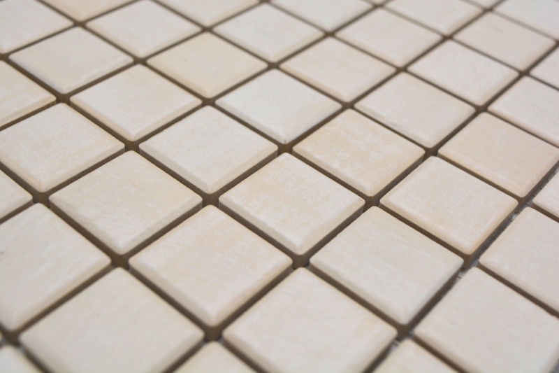 Céramique Mosaïque Jasba érable mat imitation bois mur cuisine carrelage salle de bain mur douche / 10 tapis mosaïque