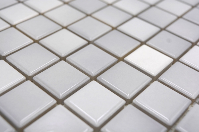 Jasba Agrob Buchtal Fresh Mosaïque Céramique Grès argenté mix brillant Cuisine Salle de bains Douche MOSJBF219 1 tapis