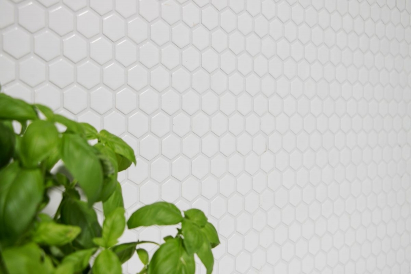 Hexagonal Hexagonal Mosaïque Carreau Céramique mini blanc brillant Carrelage cuisine Carrelage mural Carrelage salle de bain WC - MOS11A-0102