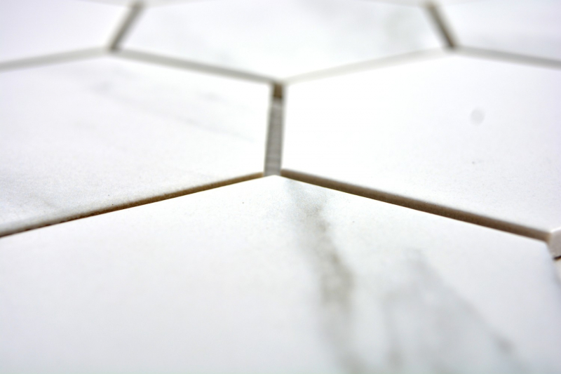 Mosaïque Carreaux céramiques blancs Hexagon Carrara Carreaux muraux Carreaux de salle de bain MOS11F-0102_f | 10 Tapis de mosaïque