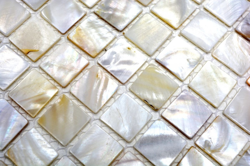 Motif main Mosaïque Coquille nacrée Carrelage mural Salle de bain MOS150-SM201_m
