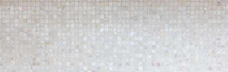 Motif main Mosaïque Coquille nacrée Carrelage mural Salle de bain MOS150-SM201_m