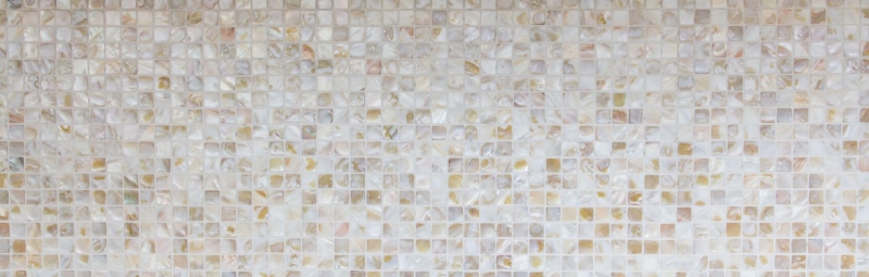 Mosaïque de nacre Mosaïque de coquillages blanc beige clair Paroi de douche MOS150-SM203