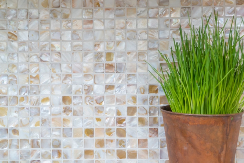 Mosaïque de nacre Mosaïque de coquillages blanc beige clair Paroi de douche MOS150-SM203