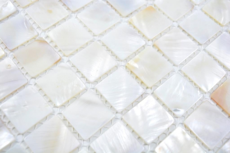 Mosaïque de nacre Mosaïque de coquillages blanc beige Paroi de douche MOS150-SM2525