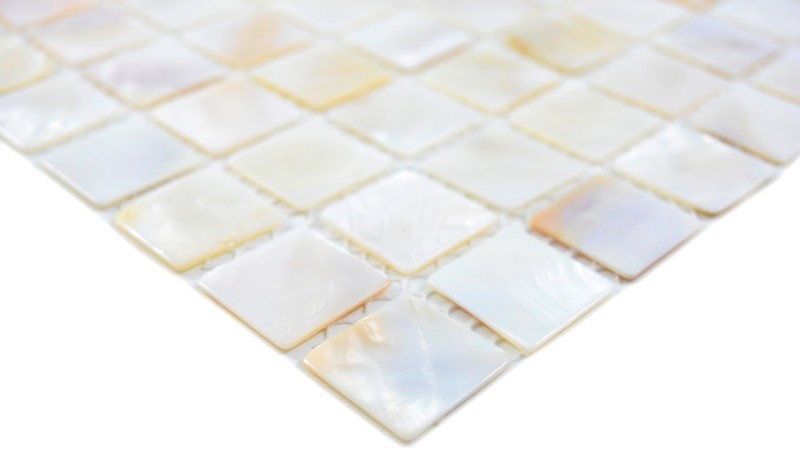 Mosaïque de nacre Mosaïque de coquillages blanc beige Paroi de douche MOS150-SM2525