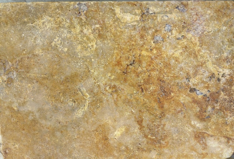 Carreau travertin pierre naturelle jaune or Carreau pierre naturelle brun doré aspect antique Carreau de sol Carreau de mur Carreau de cuisine - MOSF-45-51061