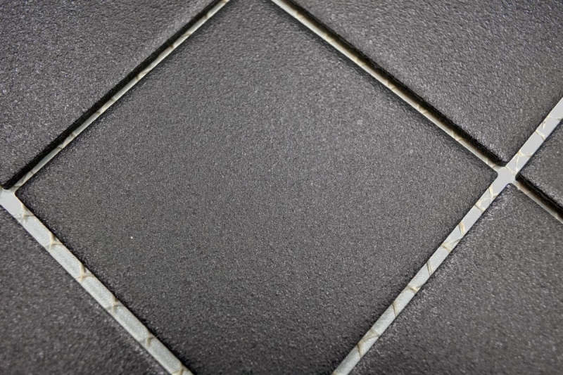 Mosaïque Carreau de mur Céramique Anthracite Noir Antidérapant Antidérapant Carreau de douche Carreau de sol WC - MOS22-0302-R10
