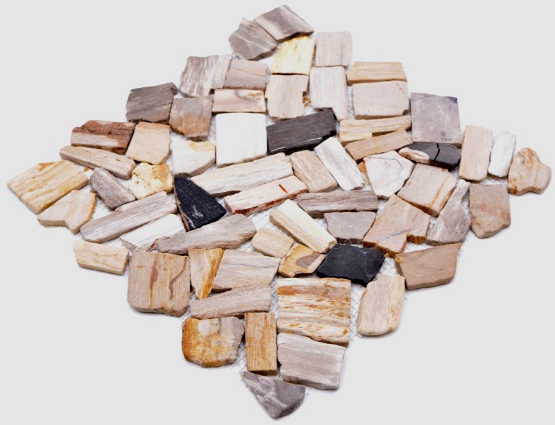 Mosaïque Bruch Mosaïque fossile en pierre naturelle Polygonal Mosiak Mat Wood aspect bois Receveur de douche Cuisine Mur Carrelage - MOS44-Fossil
