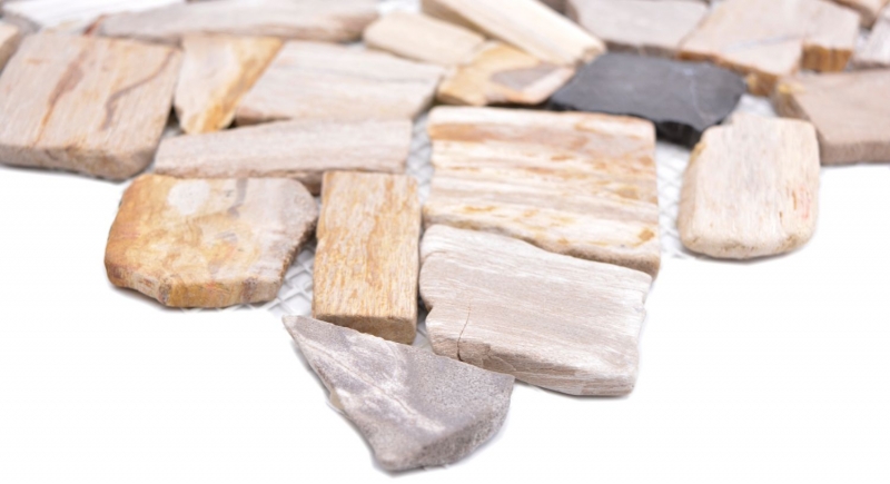 Mosaïque Bruch Mosaïque fossile en pierre naturelle Polygonal Mosiak Mat Wood aspect bois Receveur de douche Cuisine Mur Carrelage - MOS44-Fossil