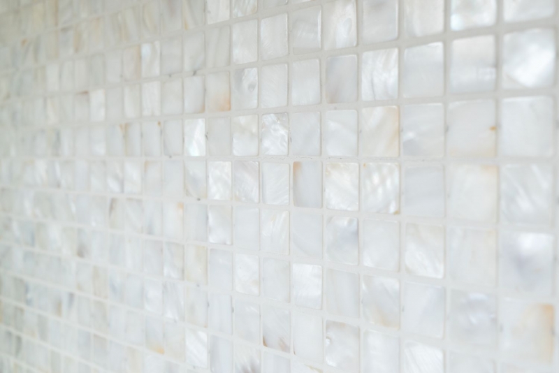 Motif main Mosaïque Coquillage permutt Carrelage mural Salle de bain MOS150-SM2525_m