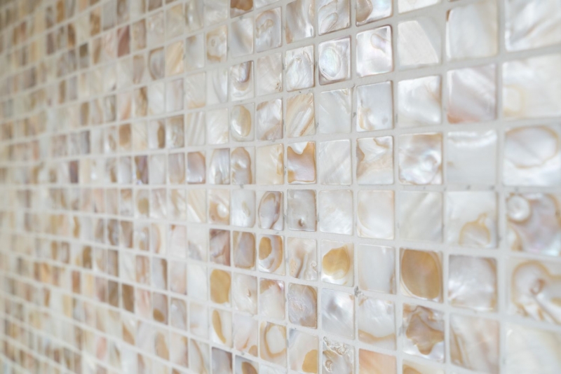Mosaïque de coquillages beige clair Miroir de fond de cuisine MOS150-SM203_f