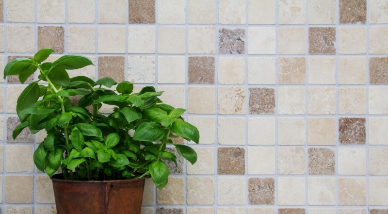 Mosaïque de carrelage Travertin Pierre naturelle beige brun Chiaro + Noche Travertin MOS43-1216_f