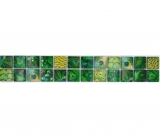 Bordure Borde Mosaïque vert brillant aspect vie sauvage carreau de mosaïque mur cuisine carrelage salle de bain mur douche MOS68BOR-WL84_f