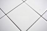 Motif main Mosaïque Carreau céramique blanc brillant Carrelage cuisine MOS23-0101_m
