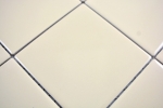 Motif main Mosaïque Carreau céramique beige brillant Carreau WC Carreau salle de bain MOS23-1201_m