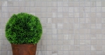 Motif main Carreau de mosaïque Marbre Pierre naturelle Gris Rayures MOS42-0204_m