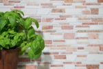 Motif main Carreau de mosaïque Marbre Pierre naturelle beige rouge Mosaïque de briques Biancone Rosso MOS40-0225_m