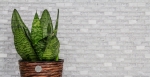 Motif manuel Carreau de mosaïque Translucide blanc Brick Mosaïque de verre Crystal pierre blanche MOS87-0111_m