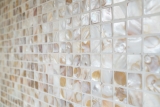 Motif main Mosaïque Coquillage beige clair Carrelage mural Salle de bains MOS150-SM203_m