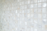 Motif main Mosaïque Coquillage permutt Carrelage mural Salle de bain MOS150-SM2525_m