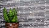 Motif main Carreau de mosaïque Marbre Pierre naturelle noire Brick Nero Marquina MOS40-0125_m