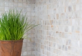 Mosaïque de coquillages nacrés blanc beige Carrelage cuisine MOS150-SM2525_f