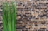 Mosaïque de marbre Pierre naturelle Brick Impala brun flammé MOS40-1304_f
